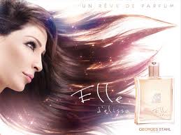 إيلسا Logo