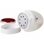 Callus Remover